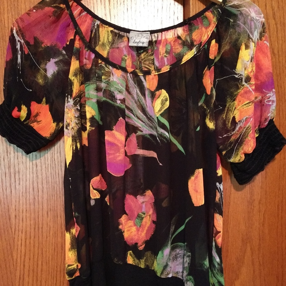 Daytrip sheer top